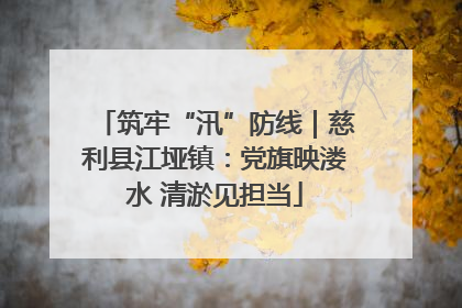 筑牢“汛”防线｜慈利县江垭镇：党旗映溇水 清淤见担当