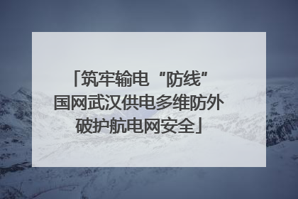 筑牢输电“防线” 国网武汉供电多维防外破护航电网安全