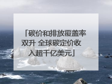 碳价和排放覆盖率双升 全球碳定价收入超千亿美元