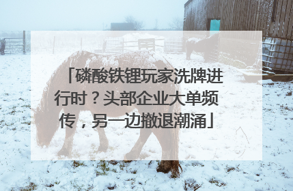 磷酸铁锂玩家洗牌进行时？头部企业大单频传，另一边撤退潮涌