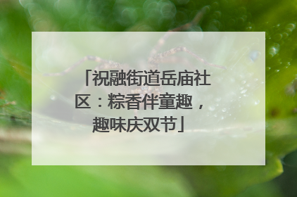 祝融街道岳庙社区：粽香伴童趣，趣味庆双节
