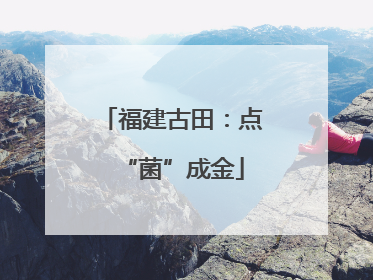 福建古田：点“菌”成金
