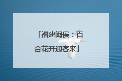 福建闽侯：百合花开迎客来
