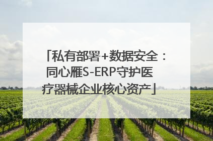 私有部署+数据安全：同心雁S-ERP守护医疗器械企业核心资产