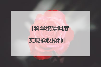 科学统筹调度实现抢收抢种