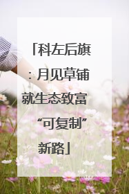 科左后旗：月见草铺就生态致富“可复制”新路