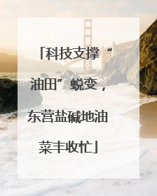 科技支撑“油田”蜕变，东营盐碱地油菜丰收忙