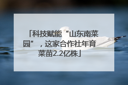 科技赋能“山东南菜园”，这家合作社年育菜苗2.2亿株