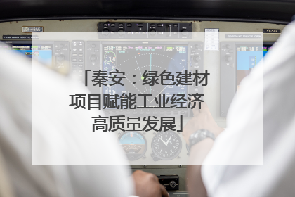 秦安：绿色建材项目赋能工业经济高质量发展