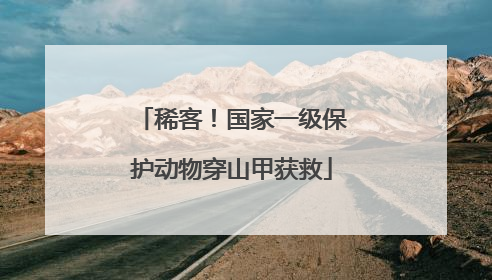 稀客！国家一级保护动物穿山甲获救