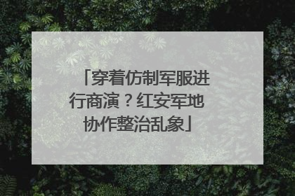 穿着仿制军服进行商演？红安军地协作整治乱象
