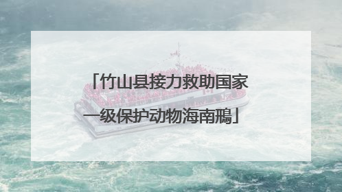 竹山县接力救助国家一级保护动物海南鳽