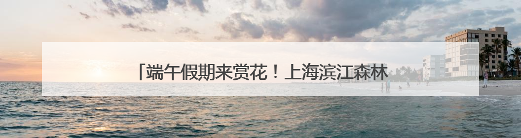 端午假期来赏花！上海滨江森林公园绣球花展5月31日开幕