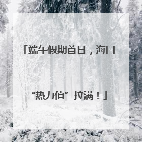 端午假期首日，海口“热力值”拉满！