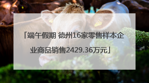端午假期 德州16家零售样本企业商品销售2429.36万元