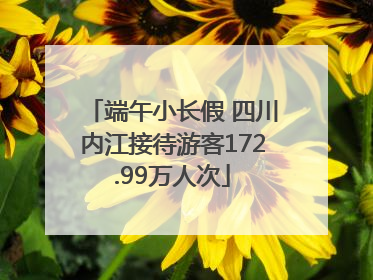端午小长假 四川内江接待游客172.99万人次