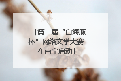 第一届“白海豚杯”网络文学大赛在南宁启动