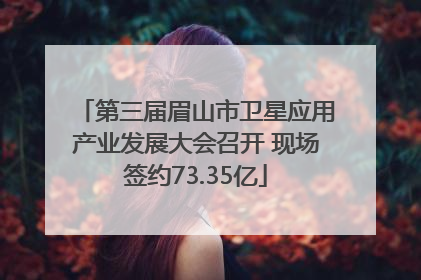 第三届眉山市卫星应用产业发展大会召开 现场签约73.35亿