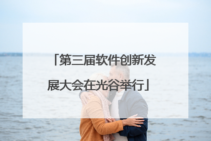 第三届软件创新发展大会在光谷举行