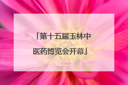 第十五届玉林中医药博览会开幕