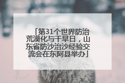 第31个世界防治荒漠化与干旱日，山东省防沙治沙经验交流会在东阿县举办