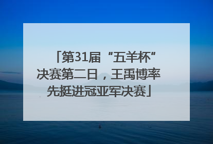 第31届“五羊杯”决赛第二日，王禹博率先挺进冠亚军决赛