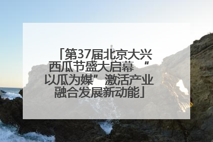 第37届北京大兴西瓜节盛大启幕 “以瓜为媒”激活产业融合发展新动能