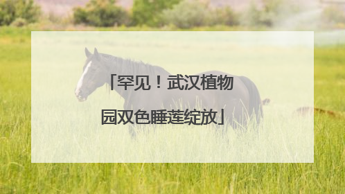 罕见！武汉植物园双色睡莲绽放
