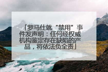 罗马仕就“禁用”事件发声明：任何经权威机构鉴定存在缺陷的产品，将依法负全责