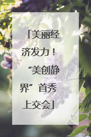 美丽经济发力！“美创静界”首秀上交会