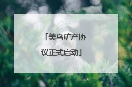 美乌矿产协议正式启动