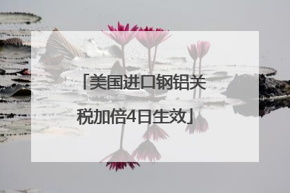 美国进口钢铝关税加倍4日生效