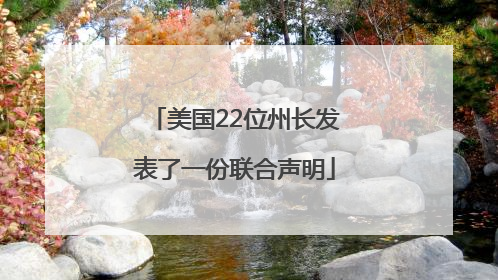 美国22位州长发表了一份联合声明