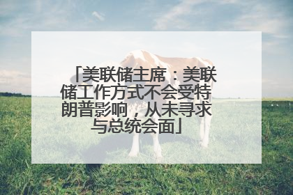 美联储主席：美联储工作方式不会受特朗普影响，从未寻求与总统会面