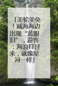 美轮美奂！威海海边出现“蓝眼泪”，游客：海浪打过来，就像星河一样
