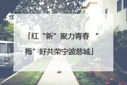 红“新”聚力青春 “梅”好共荣宁波慈城