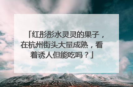 红彤彤水灵灵的果子，在杭州街头大量成熟，看着诱人但能吃吗？