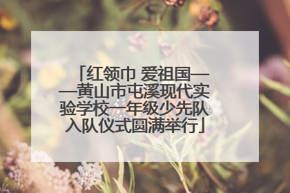红领巾 爱祖国——黄山市屯溪现代实验学校一年级少先队入队仪式圆满举行