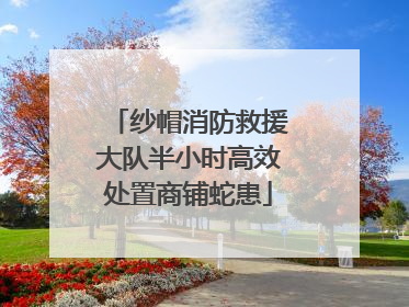 纱帽消防救援大队半小时高效处置商铺蛇患