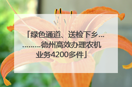 绿色通道、送检下乡…………德州高效办理农机业务4200多件