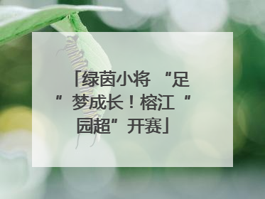 绿茵小将 “足”梦成长！榕江“园超”开赛
