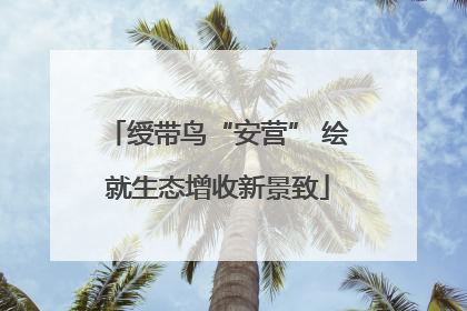 绶带鸟“安营” 绘就生态增收新景致