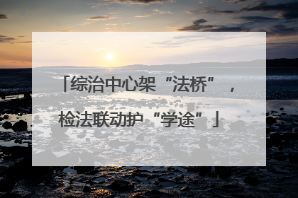 综治中心架“法桥”，检法联动护“学途”