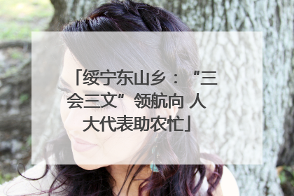 绥宁东山乡：“三会三文”领航向 人大代表助农忙