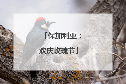 保加利亚：欢庆玫瑰节