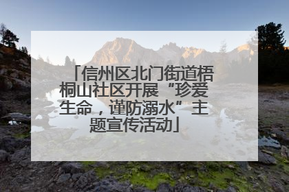 信州区北门街道梧桐山社区开展“珍爱生命，谨防溺水”主题宣传活动