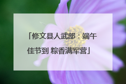修文县人武部：端午佳节到 粽香满军营