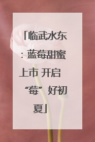 临武水东：蓝莓甜蜜上市 开启“莓”好初夏