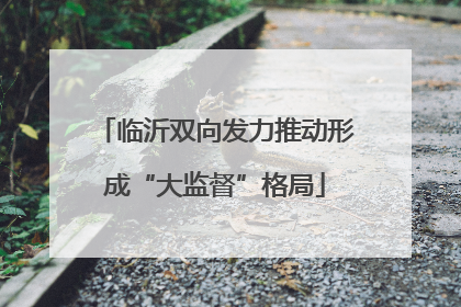 临沂双向发力推动形成“大监督”格局