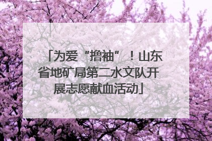 为爱“撸袖”！山东省地矿局第二水文队开展志愿献血活动